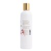 Conditioner BACK_5414