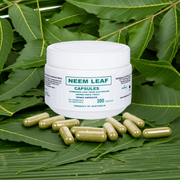 Neem CAPS 300 Vegan 3 800