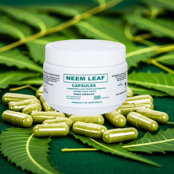 Neem CAPS 300 Vegan 650