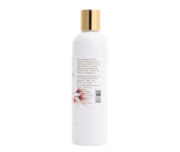 Shampoo BACK 5418