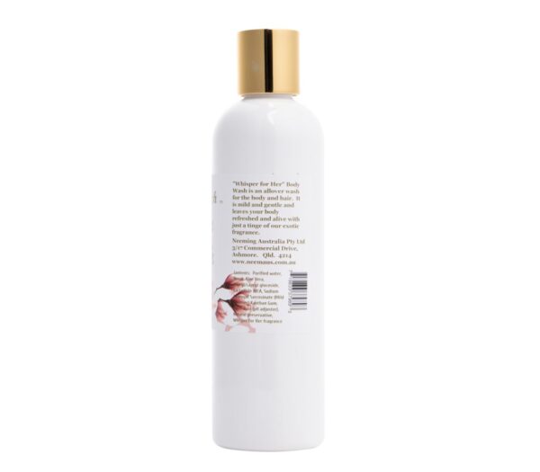 Bpfu WASH Back 5422