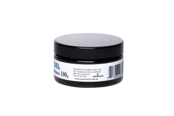 Wesley McNeil - Creative Focus Studios Only